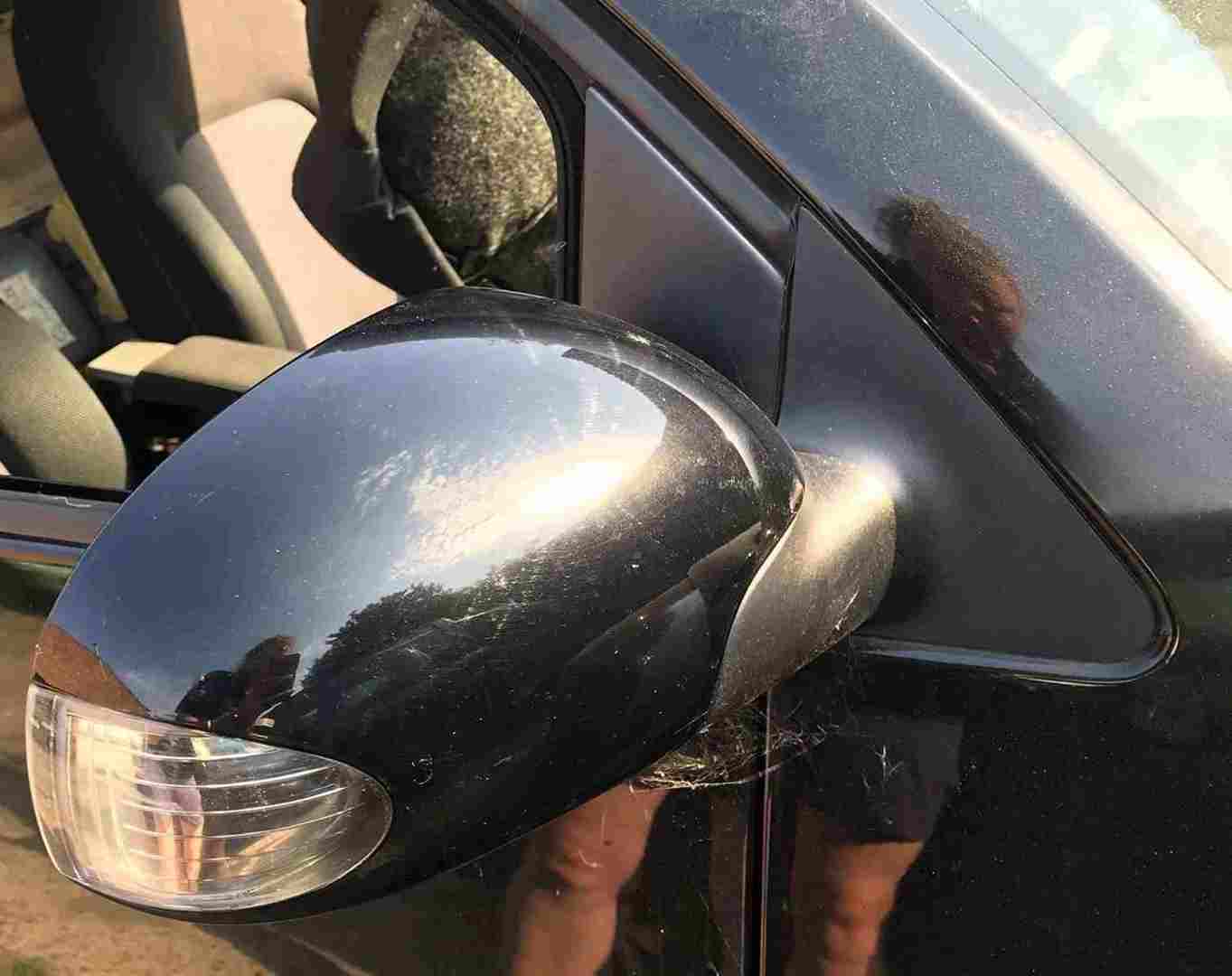 Volkswagen Beetle 2006-2011 Drivers OS Wing Mirror Black L041