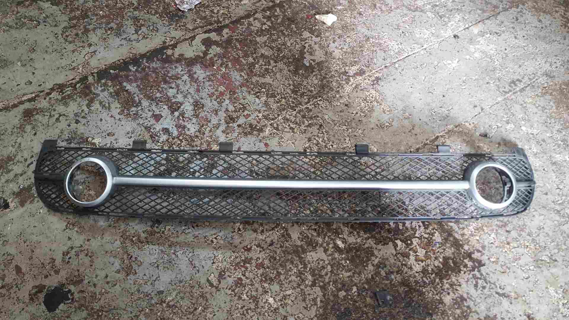 Volkswagen Beetle Convertible 2002-2006 Front Bumper Bottom Grill Insert Silver