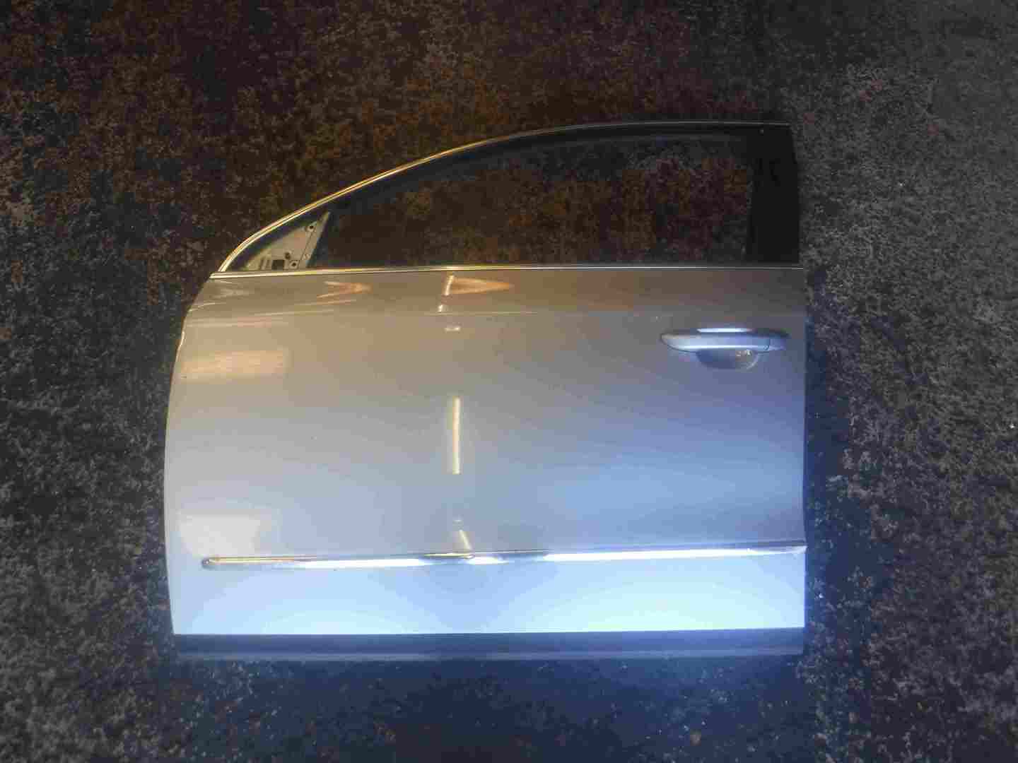 Volkswagen Passat B6 2005-2010 Passenger NSF Front Door Blue Grey LB5M