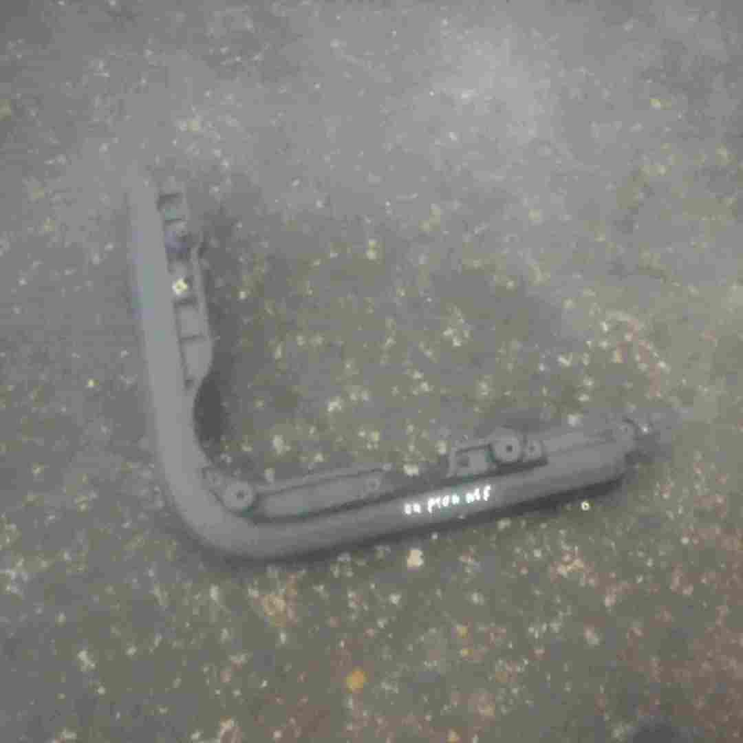 Volkswagen Phaeton 2002-2006 Passenger NSF Front Left Door Card Trim Front