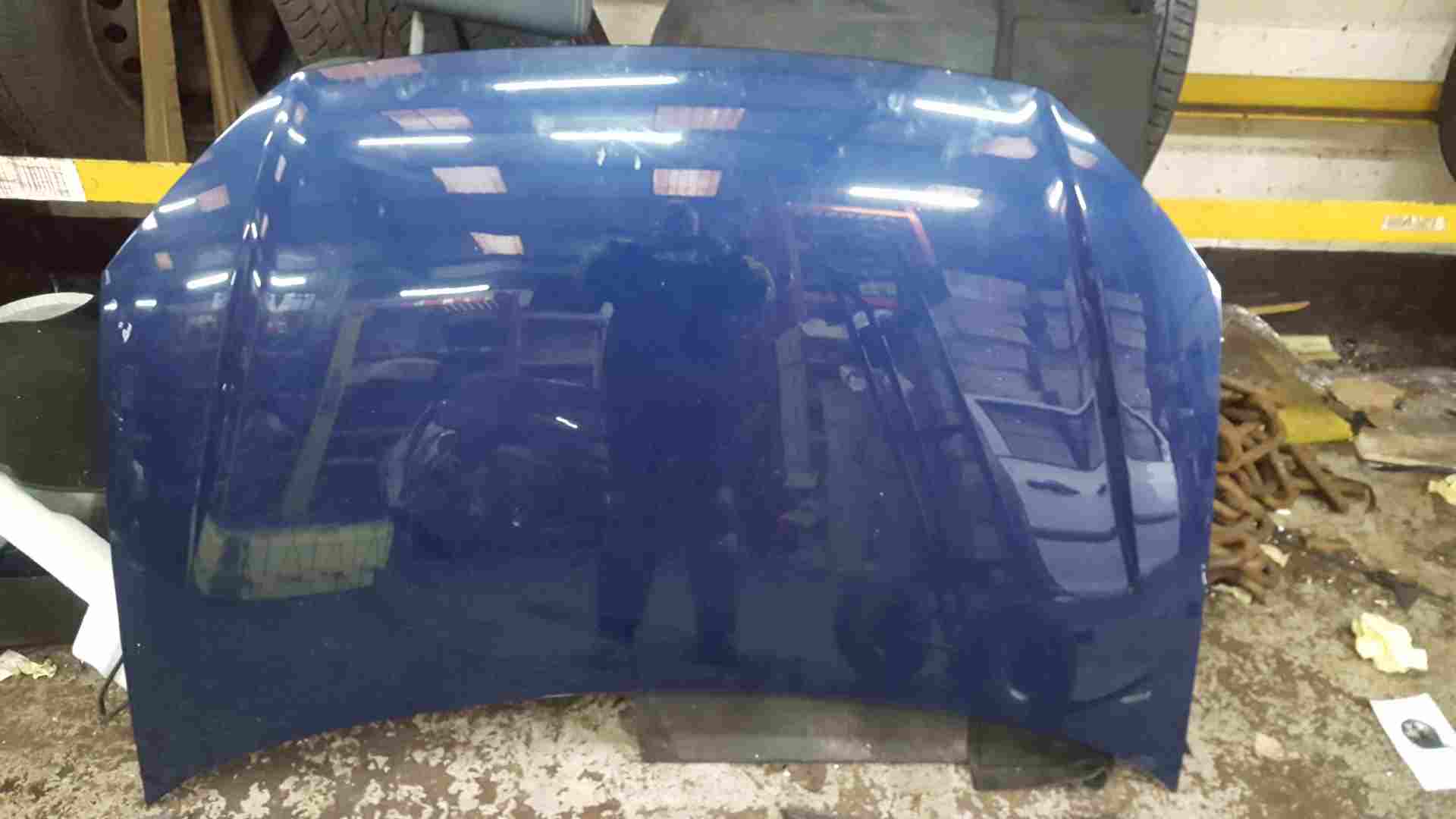 Volkswagen Polo 2006-2008 9N3 Front Bonnet Blue Ld5q