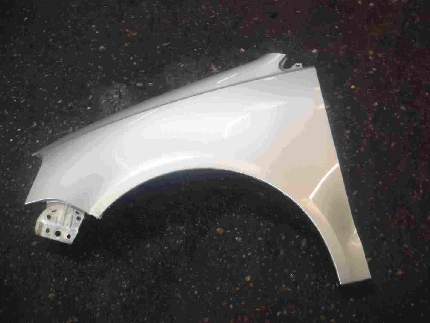 Volkswagen Polo 9N3 2006-2008 Passenger NS Wing Silver LP7X