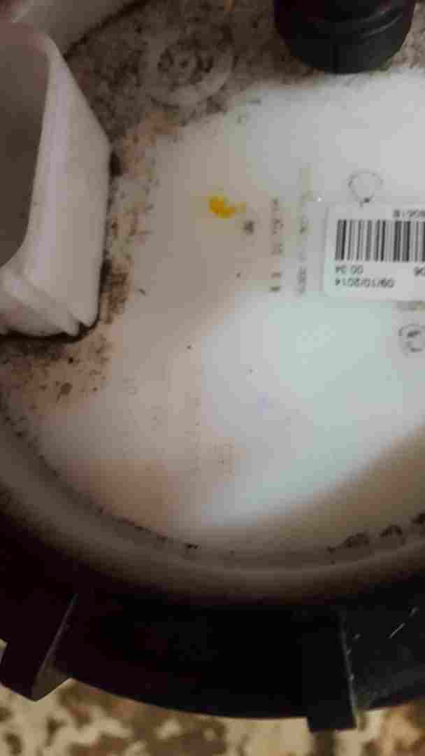 Volkswagen Up 2011-2017 Petrol Pump AND Sender Unit 1.0 1S0919051b