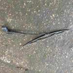 Volkswagen Sharan 1995-2000 Drivers OS Wiper Arm