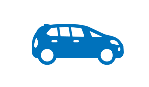 T-Roc icon